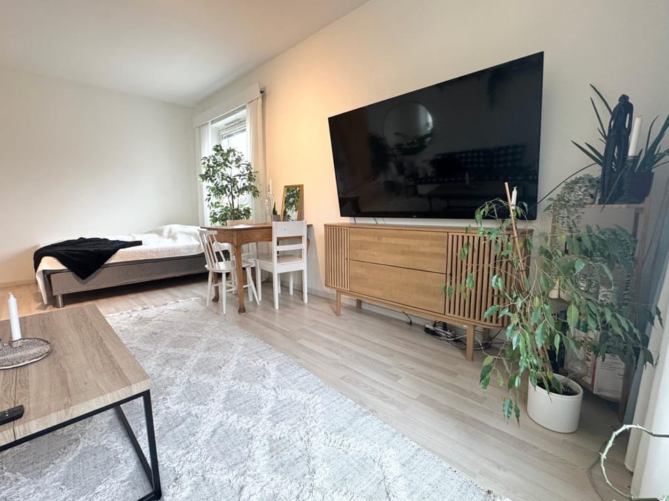 Luxury 2BR Home-Free parking and Walk to center and train Apartment in Finland