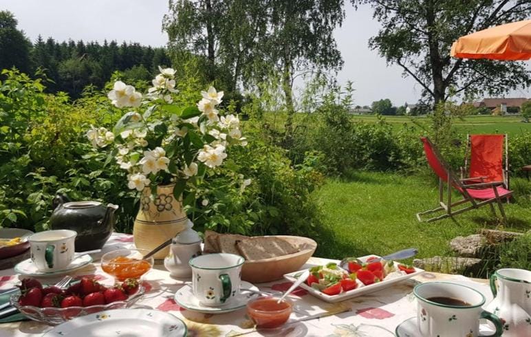 Garden, Food and drinks, Breakfast