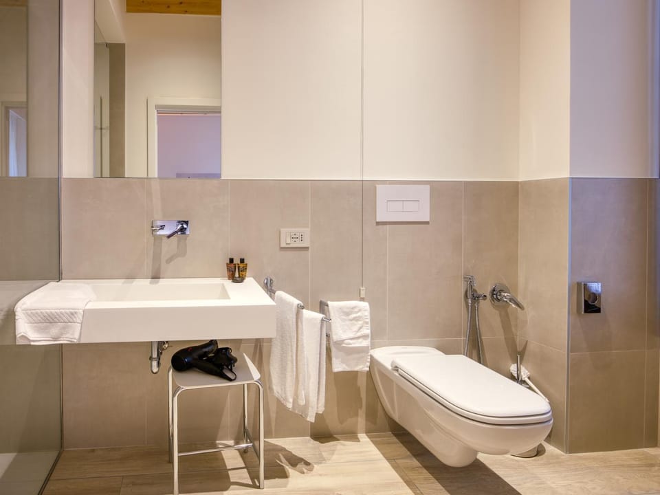 Shower, Toilet, Bathroom, bidet, hair dryier