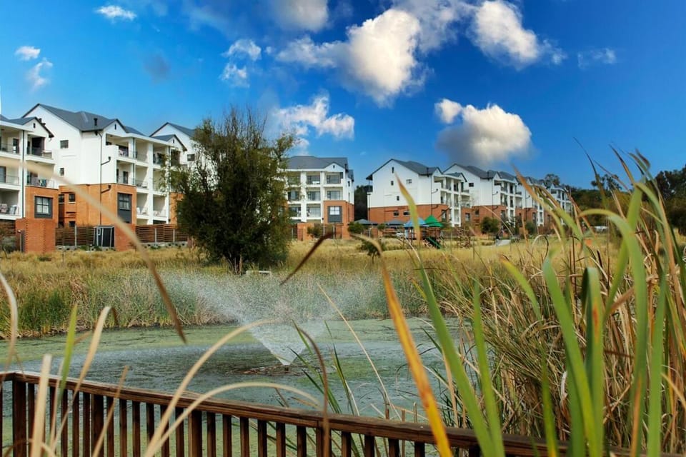 Lake view