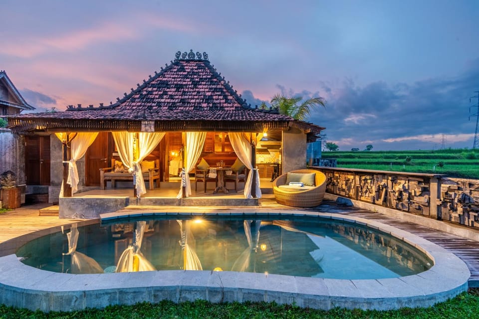 Property building, Patio, Day, Natural landscape, Garden, Garden view, Pool view, Swimming pool