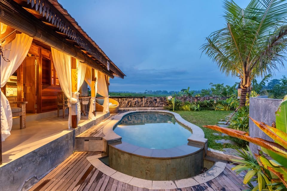 Natural landscape, Garden, Garden view, Pool view, Swimming pool, sunbed