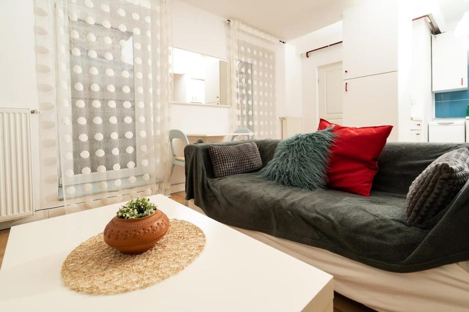 Design Studio 9 with private patio in central villa Apartment in Timiș County