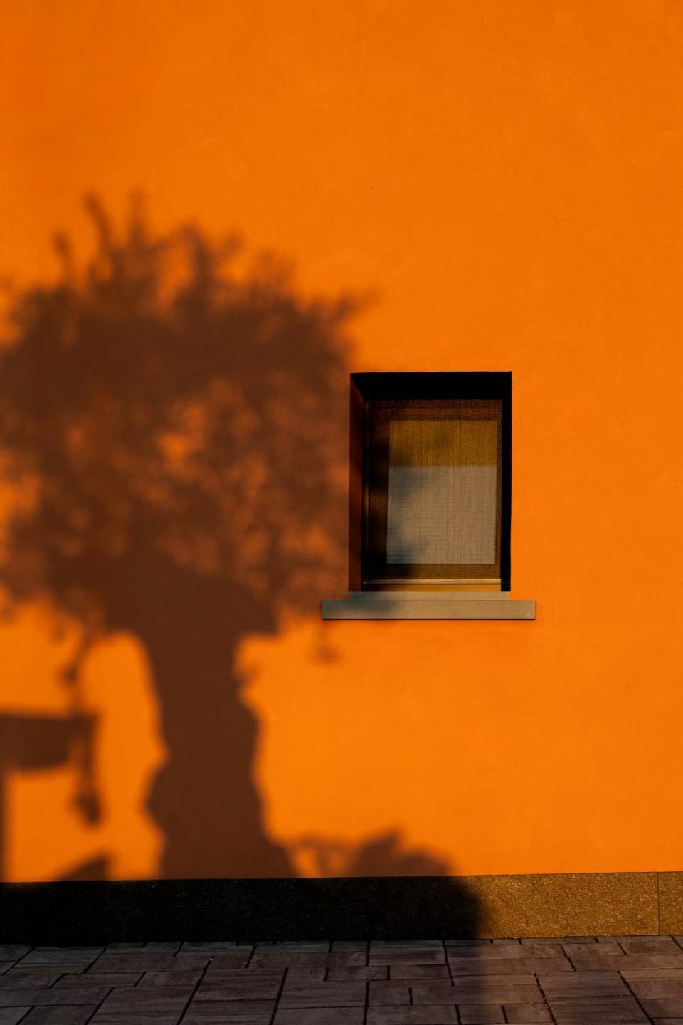 Il Tramonto - Deluxe Apartments Apartment in Emilia-Romagna