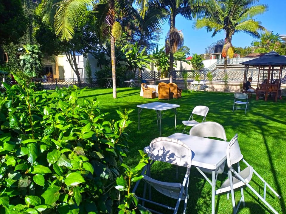 Communal lounge/ TV room, Spring, Day, Natural landscape, Garden, Evening entertainment, Garden view, sunbed