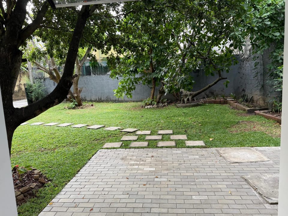 Day, Garden, Garden view