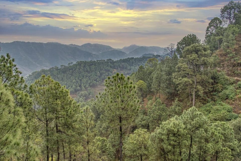 The Rajmahal Retreat I Jacuzzi I Vacations l Pet friendly & 3 Bedroom Villa I Family Events I Sky Bonfire I Kasauli By Exotic Stays Apartment in Himachal Pradesh