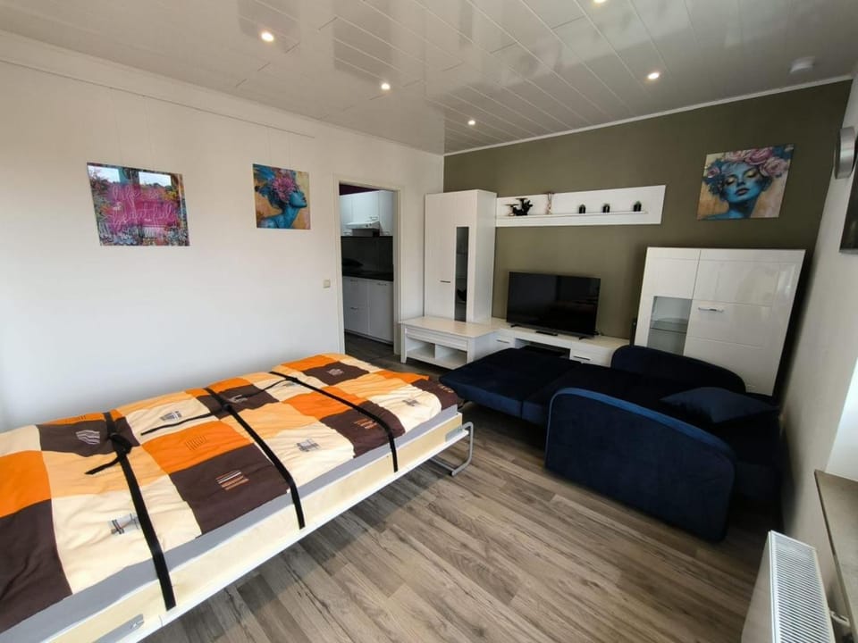 Bed, TV and multimedia, Living room, Photo of the whole room, Seating area, Evening entertainment, Bedroom