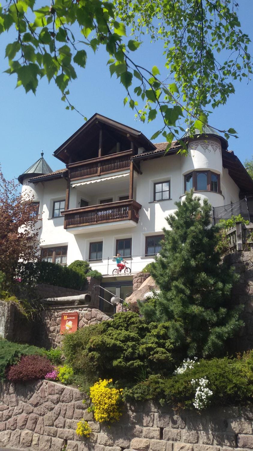 Apartment Manuel Apartment in Ortisei