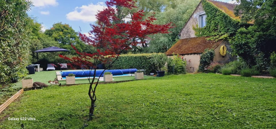 Garden view, Pool view