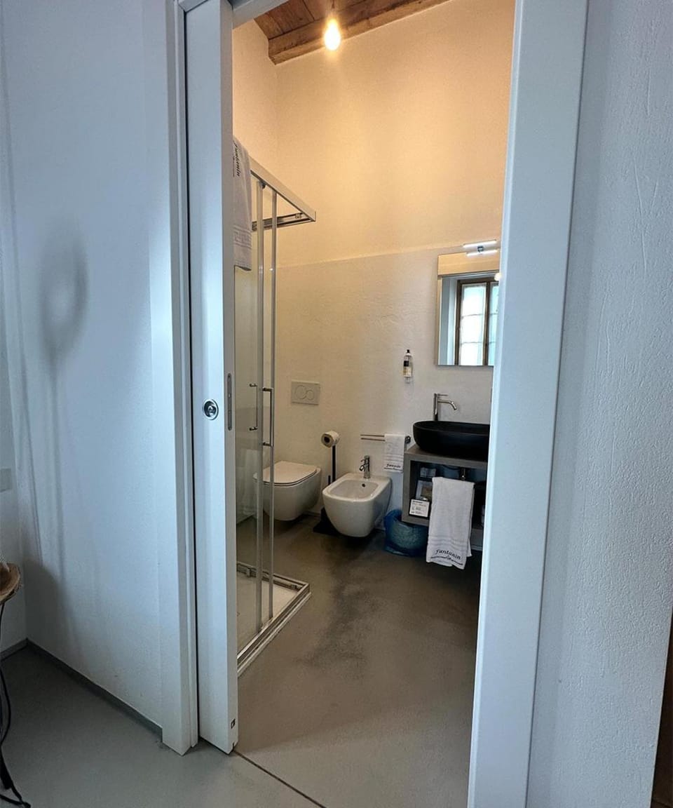 Shower, Toilet, Bathroom, bidet