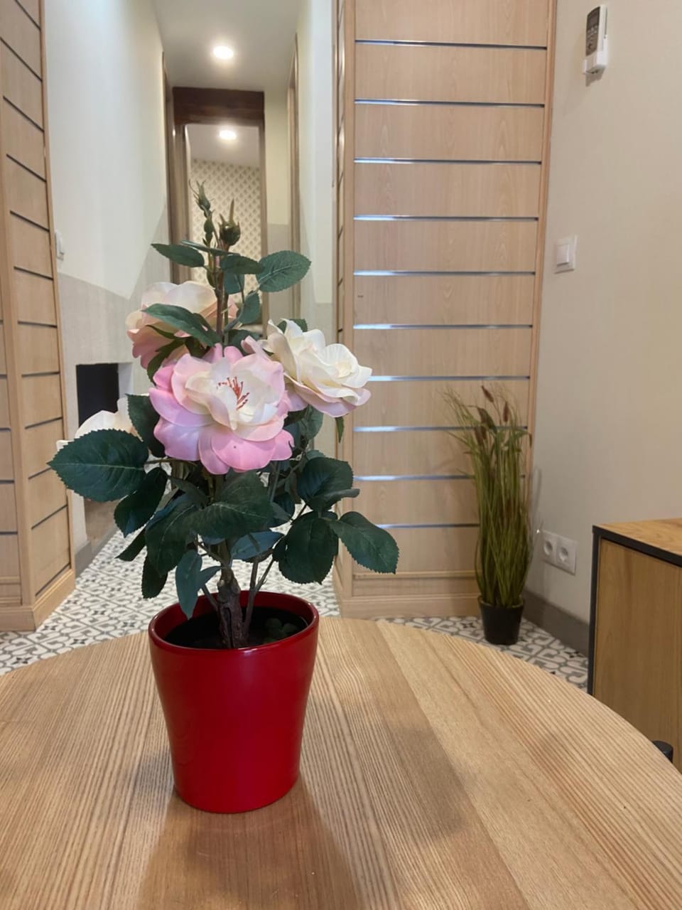 Orquidea Apartment in Centro