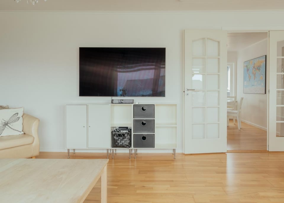 TV and multimedia