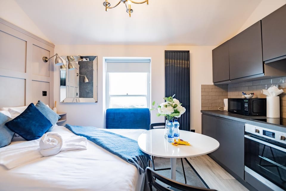 Superb Studio With Marina Views- WiFi Included Apartment in Dublin