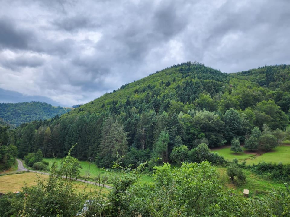Mountain view