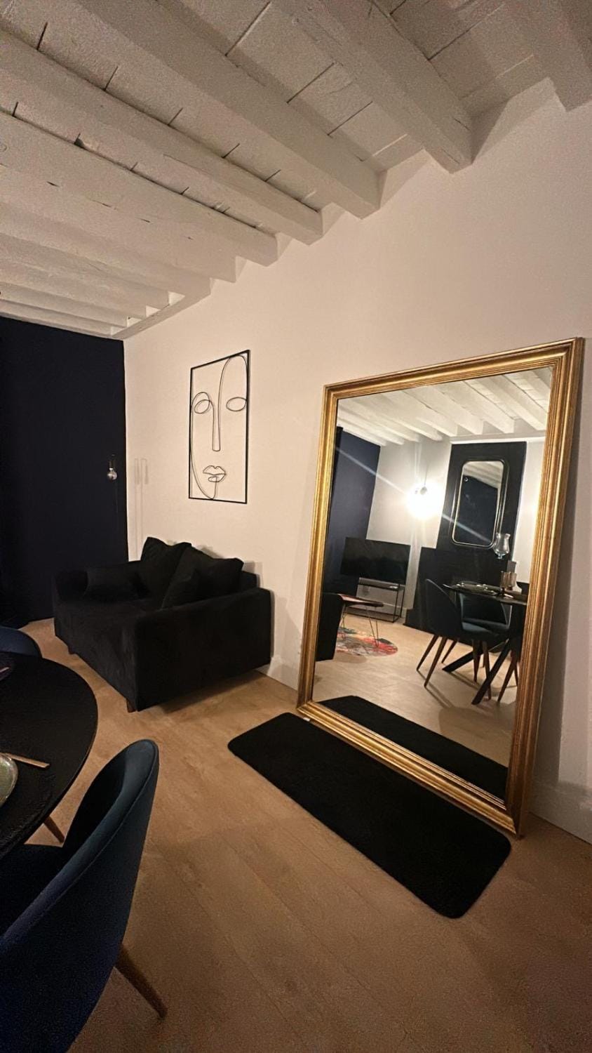 Le kozy Apartment in Dijon