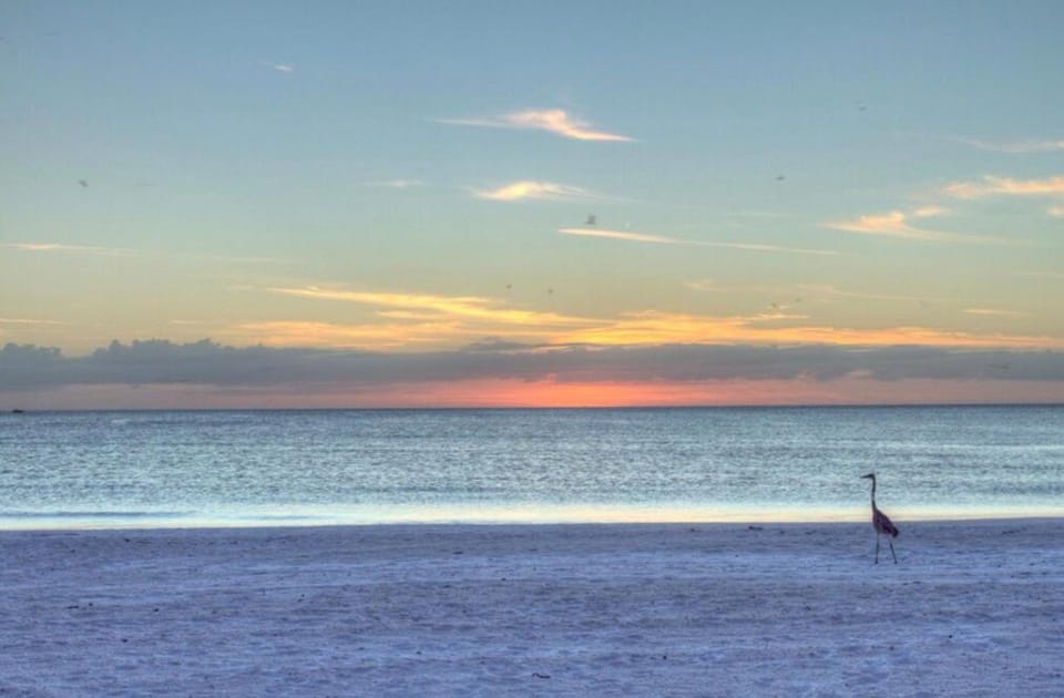 Natural landscape, Beach, Sea view, Sunset