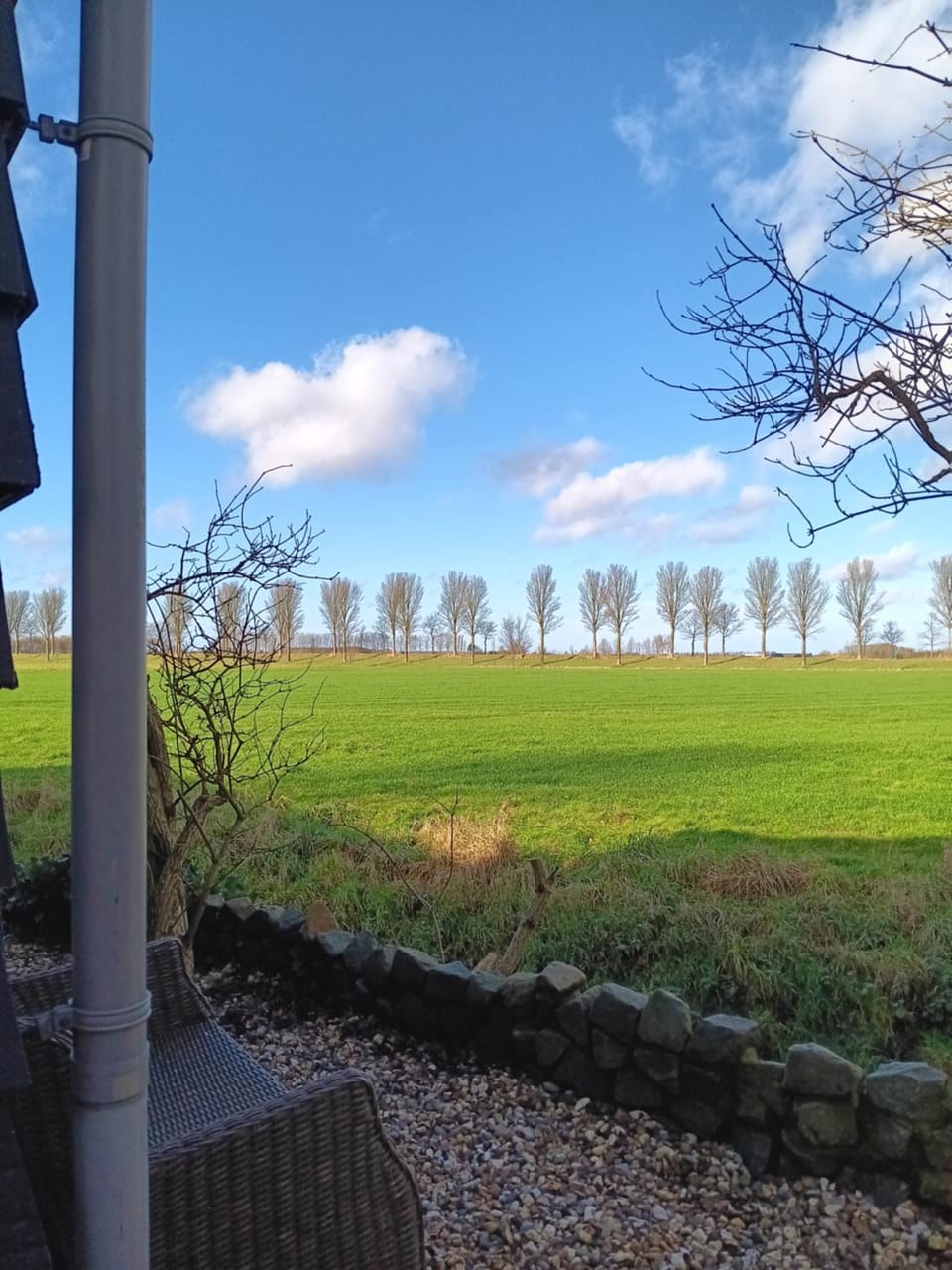 Natural landscape, Garden view