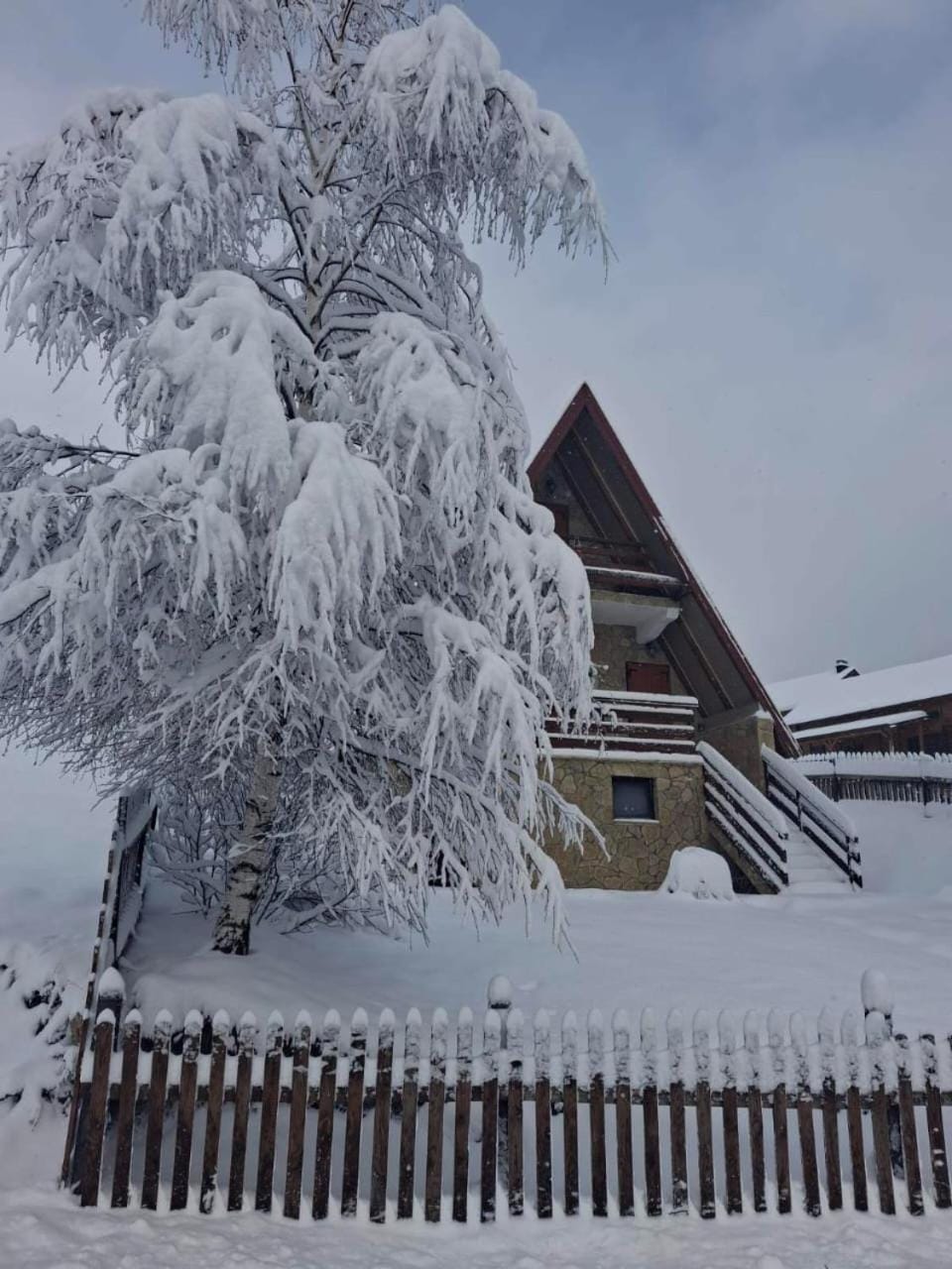Sunny Slope cottage-vikendica "Sunčana padina" House in Montenegro
