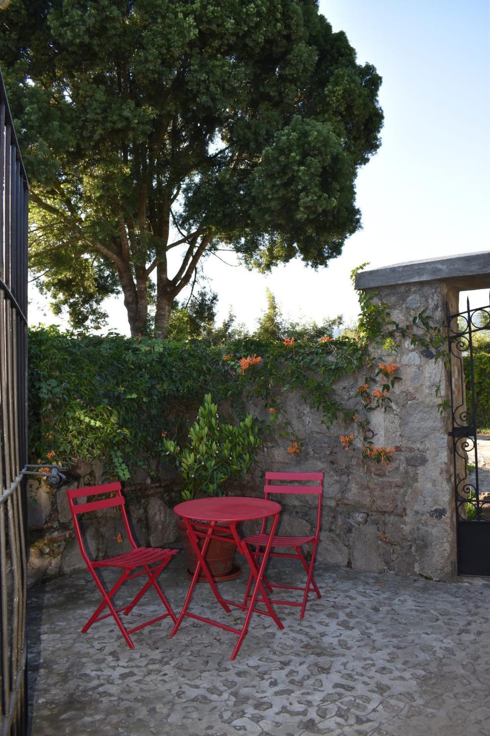 Patio, Balcony/Terrace, Balcony/Terrace