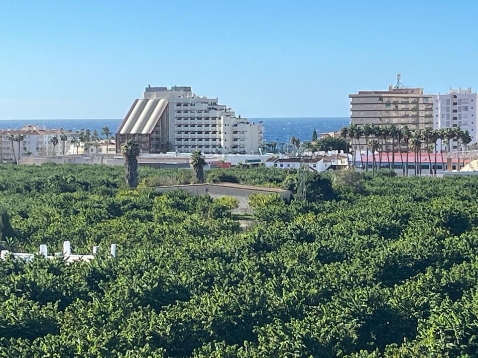 Sea view