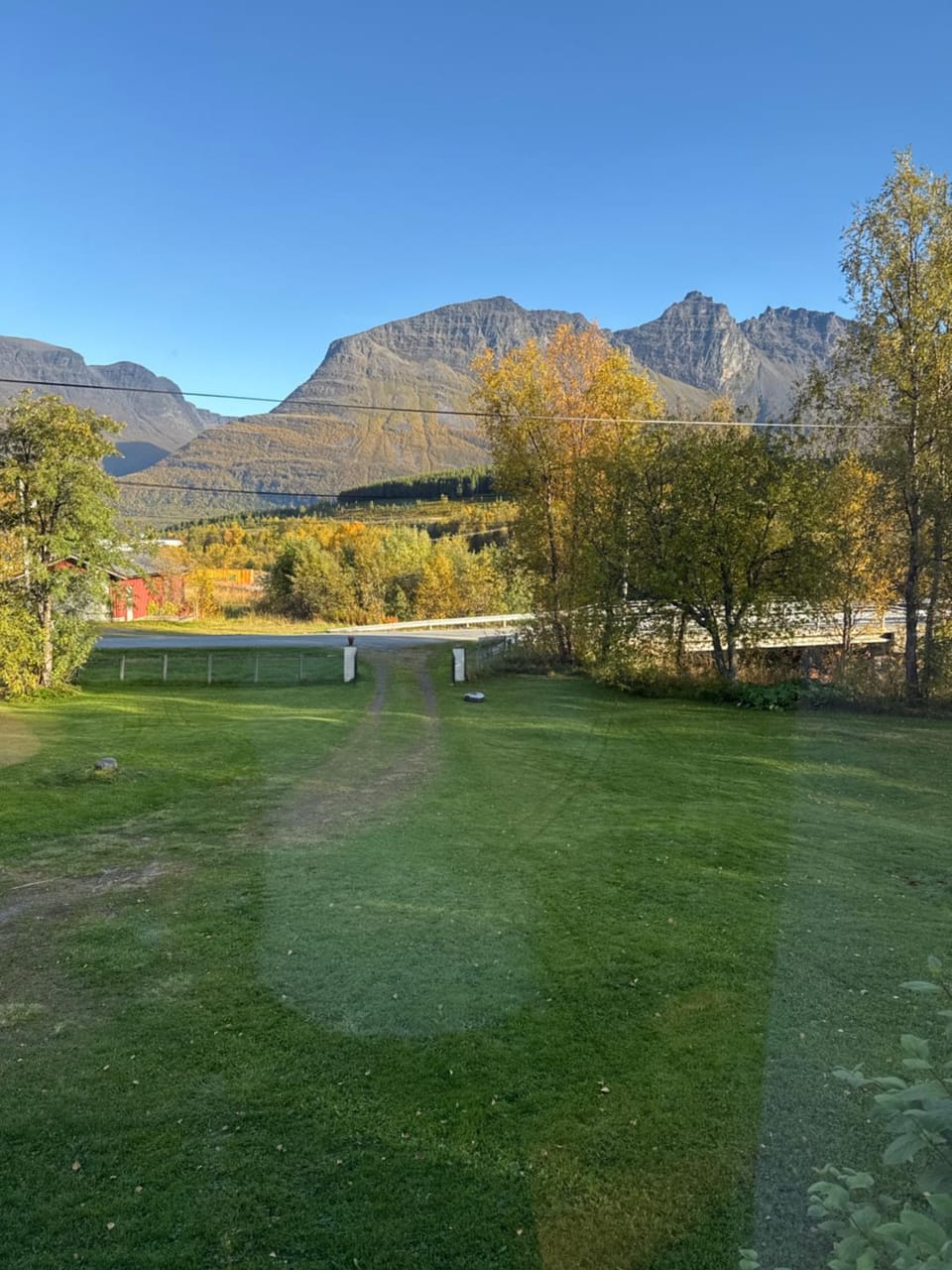 Garden view