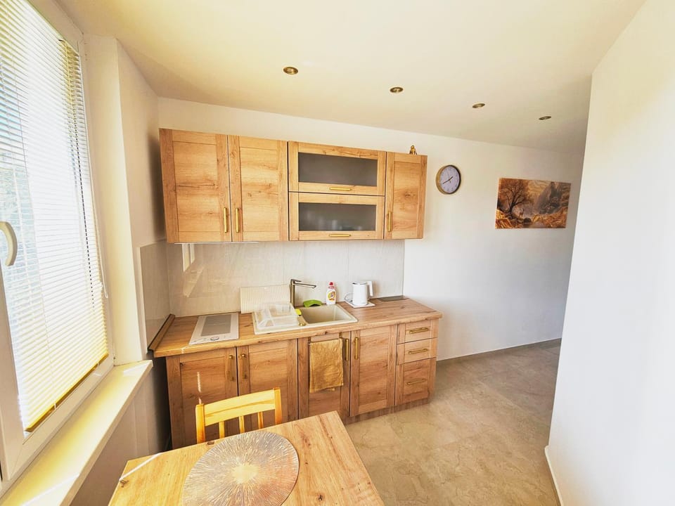Kitchen or kitchenette, kitchen