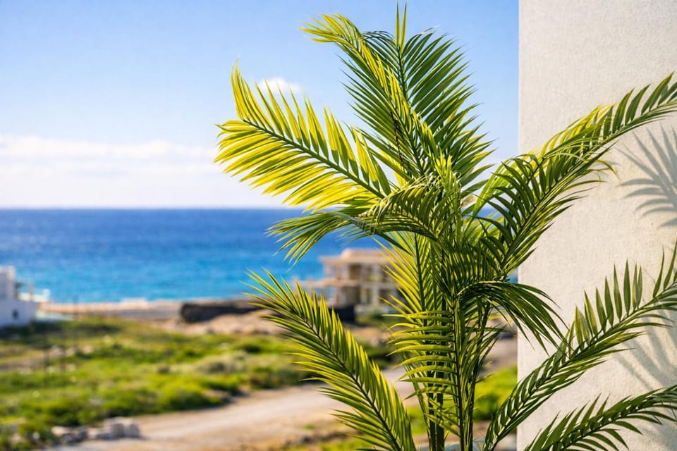 Patio, Spring, Day, Natural landscape, Balcony/Terrace, Seating area, Beach, Sea view