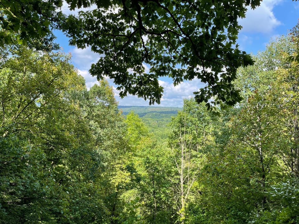 Natural landscape, View (from property/room)