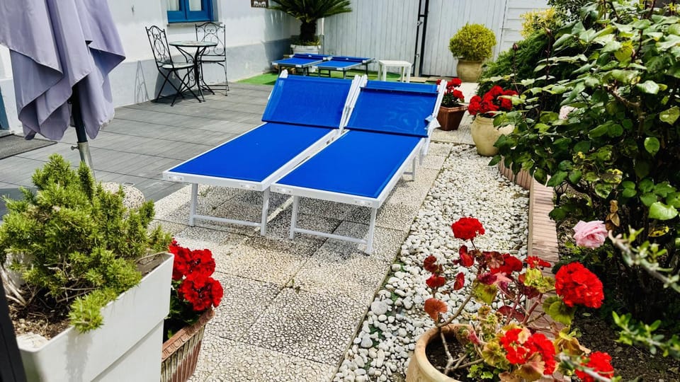 Patio, sunbed
