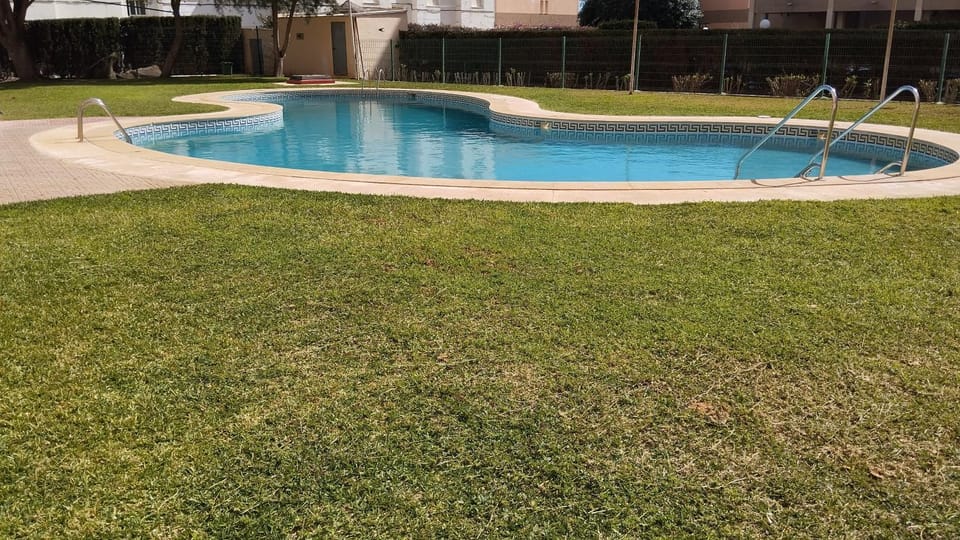 Garden, Swimming pool