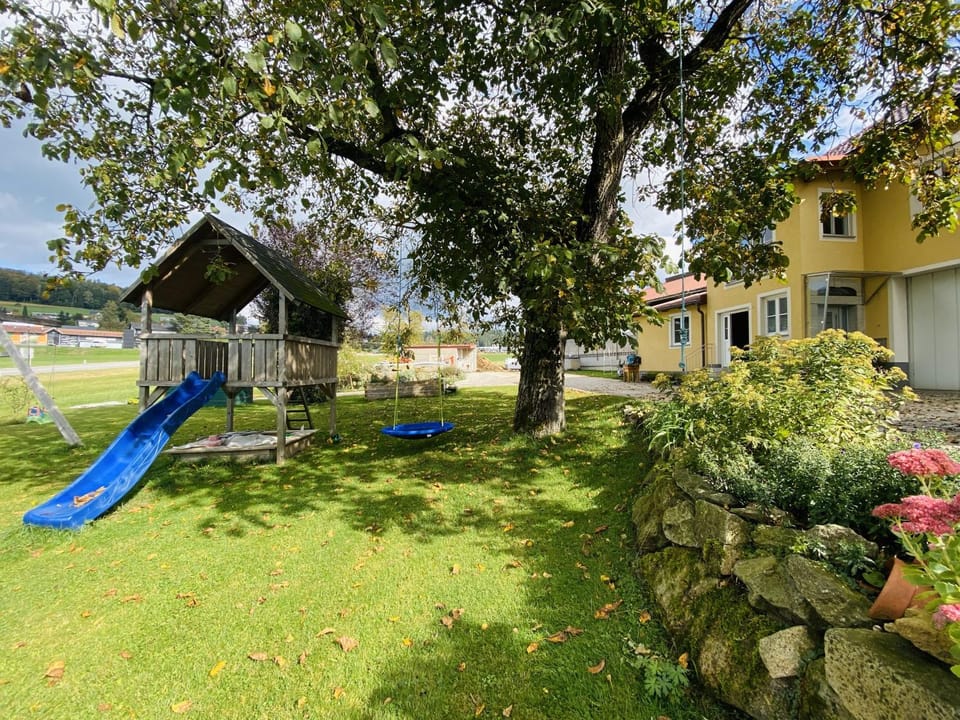 Children play ground, Garden