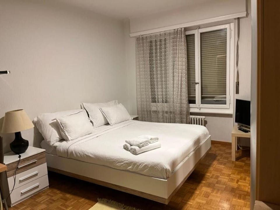 300m from the train station Apartment in Lausanne