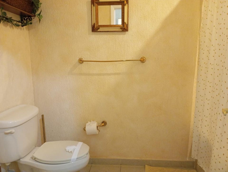 Toilet, Bathroom