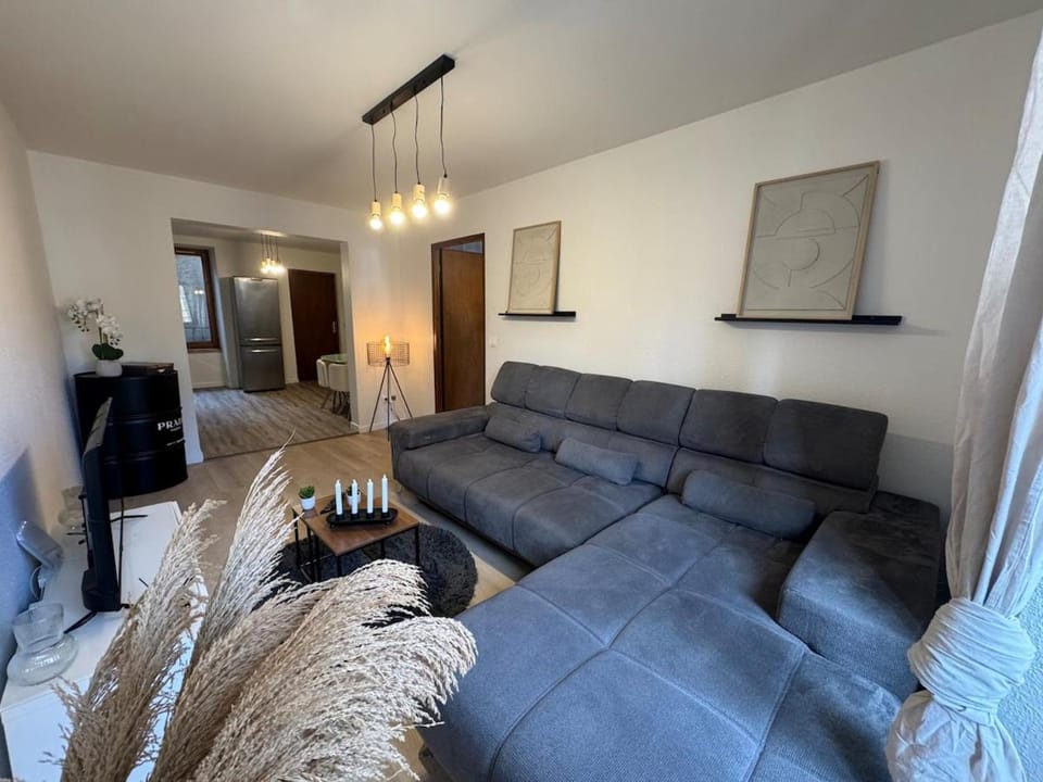 Jolie T2, 55 m, centre ville soultz Apartment in Grand Est