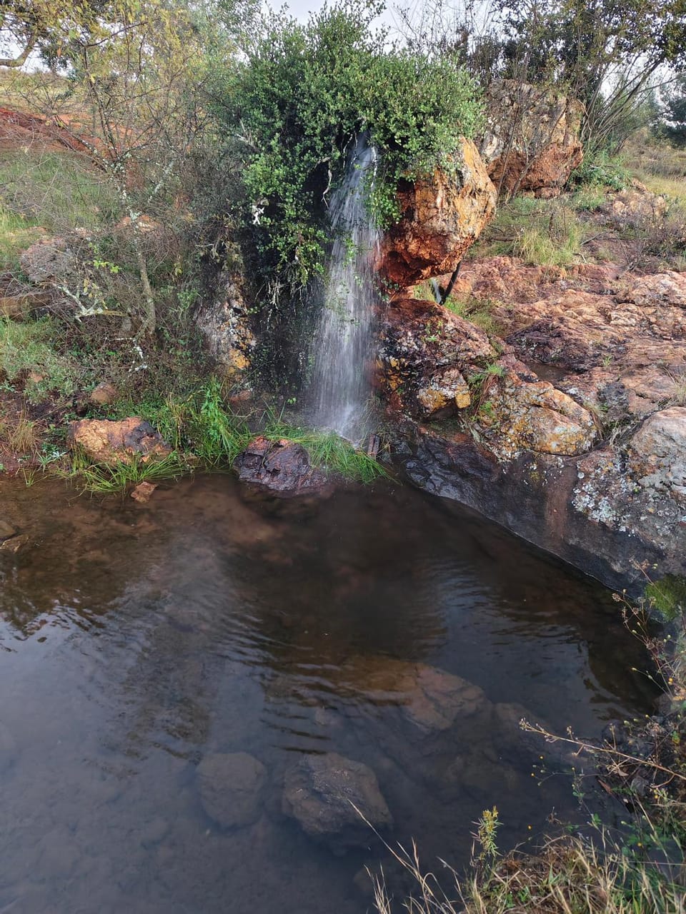 Spring, Natural landscape, River view