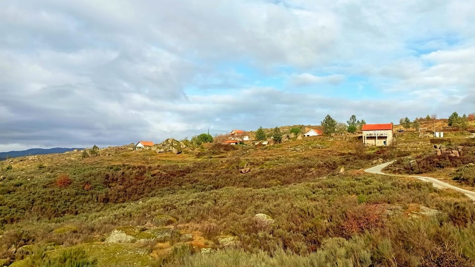 Day, Winter, Garden, View (from property/room), Garden view, Mountain view