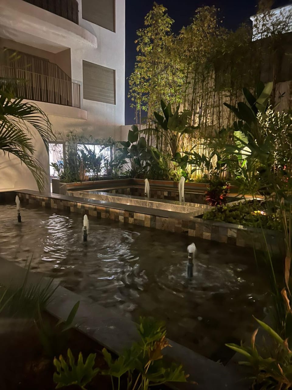 Property building, Night, Natural landscape, Garden, Garden view, Pool view, Swimming pool
