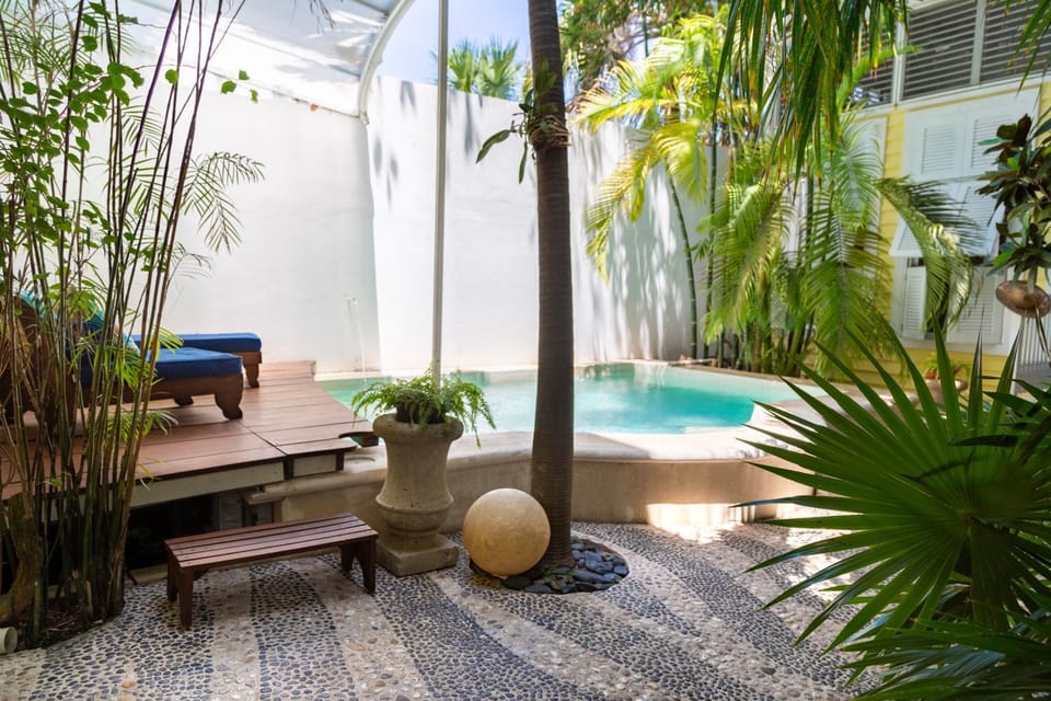 Garden, sunbed
