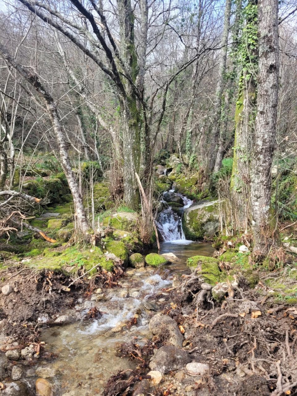 Nearby landmark, Natural landscape, River view