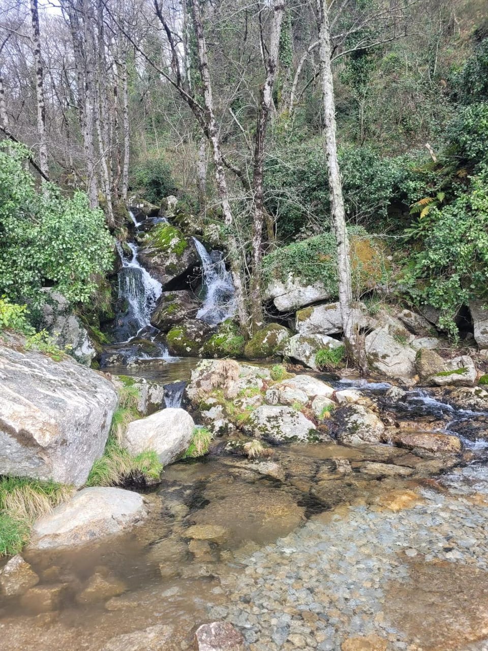 Natural landscape, River view