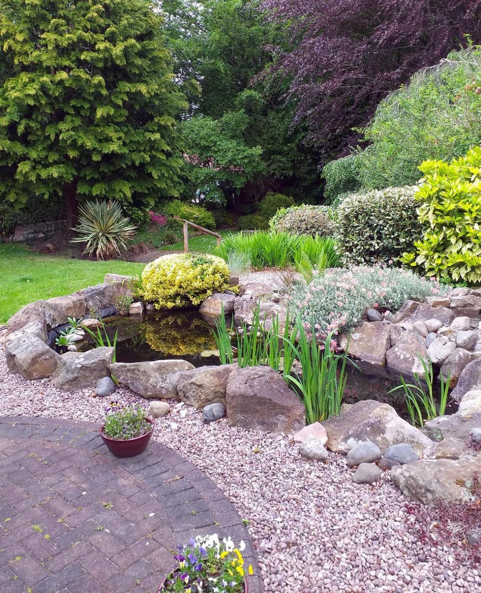 Garden view