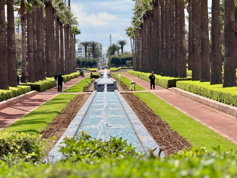 Day, Natural landscape, Garden