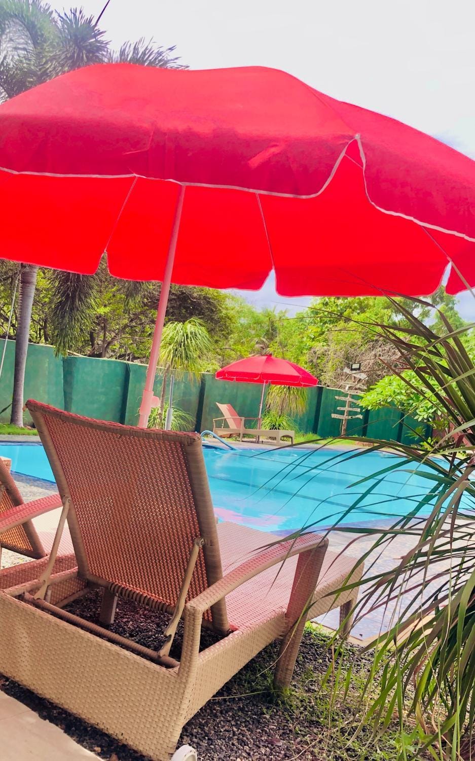 Patio, Day, Pool view, Swimming pool, sunbed
