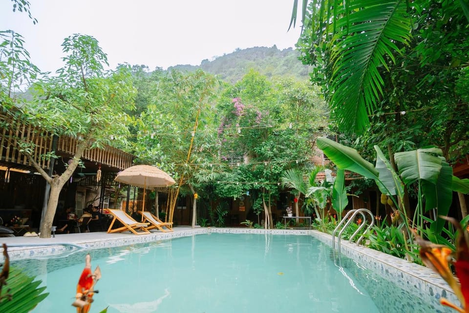 Swimming pool