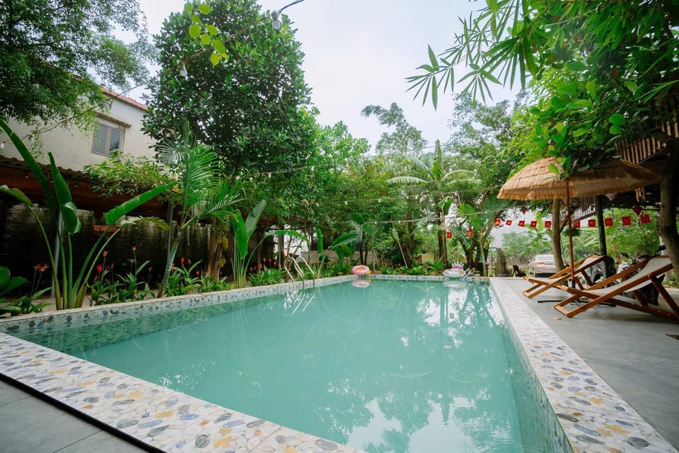 Day, Natural landscape, Garden, Pool view