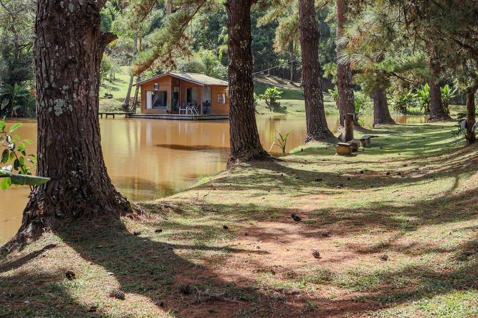 Area and facilities