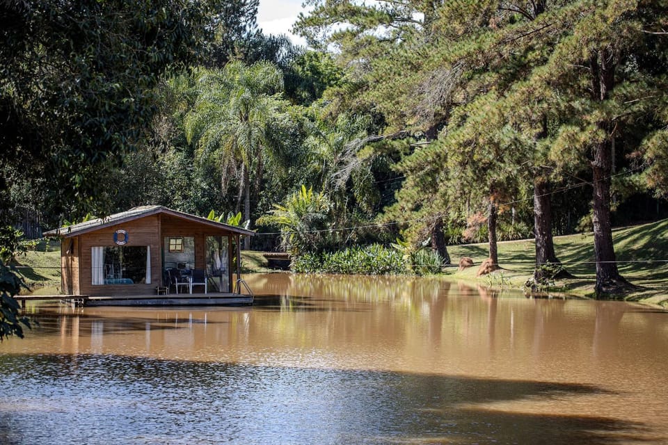 Lake view