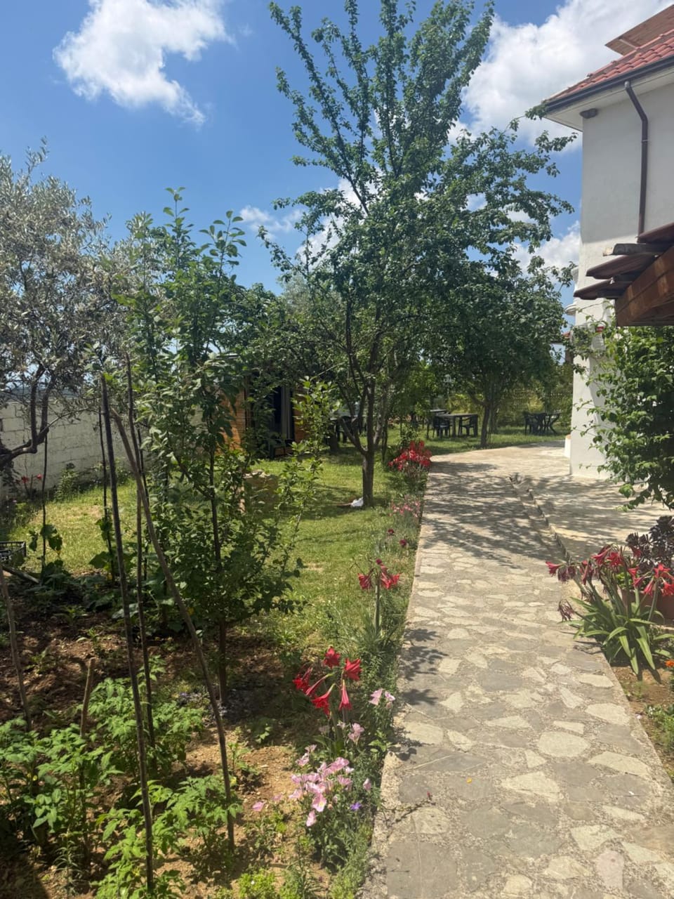 Meti guest house Bed and Breakfast in Tirana County, Albania