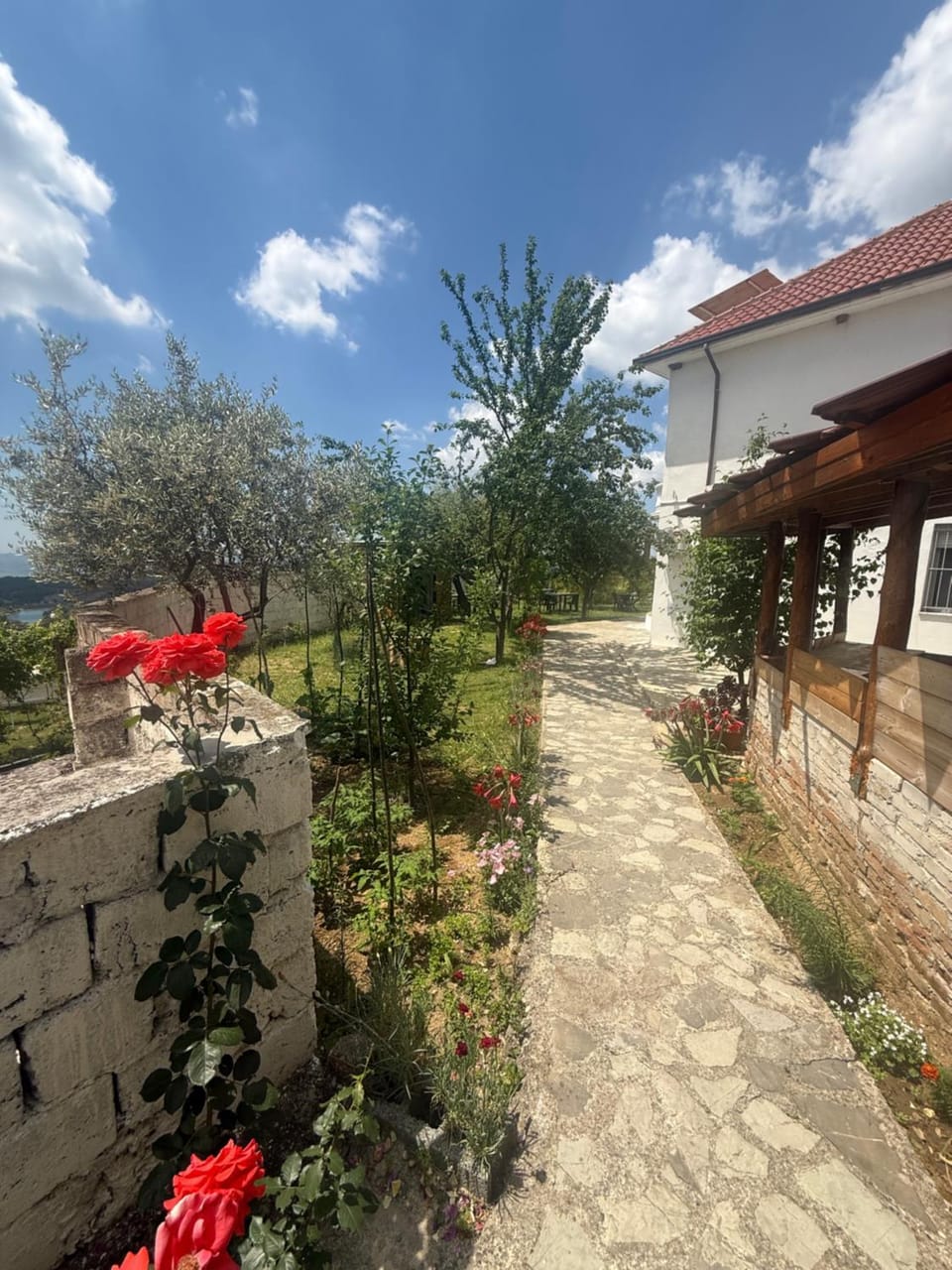 Meti guest house Bed and Breakfast in Tirana County, Albania